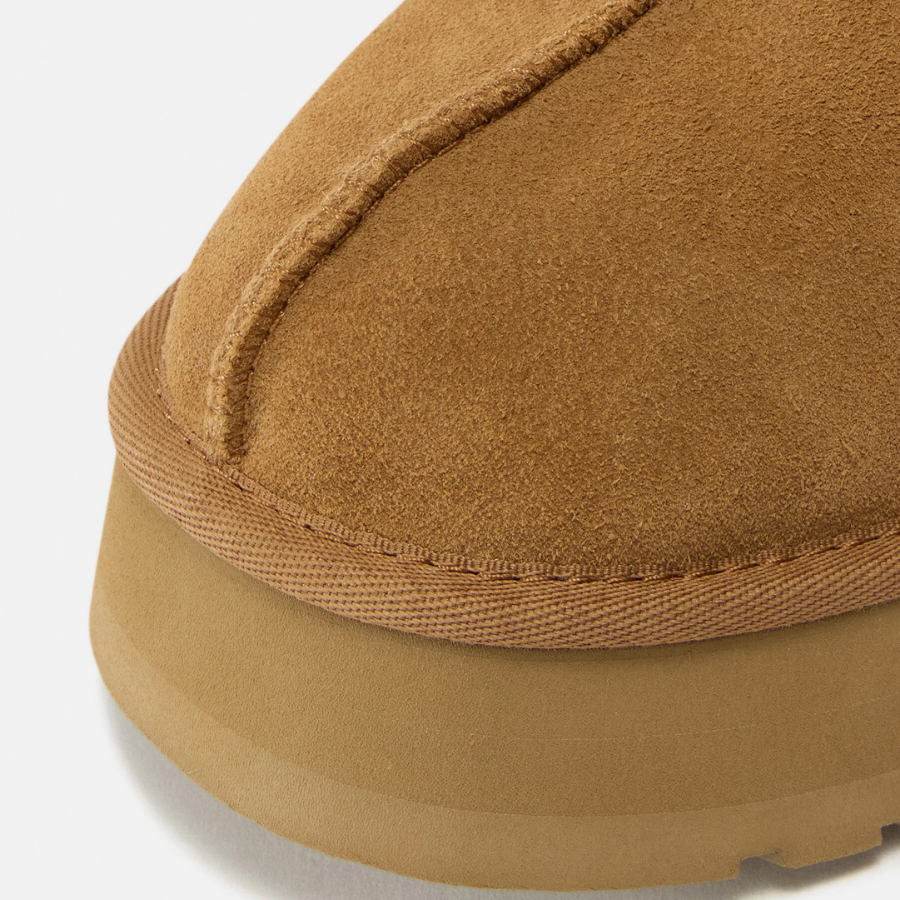 Classic Tazz II | Chestnut