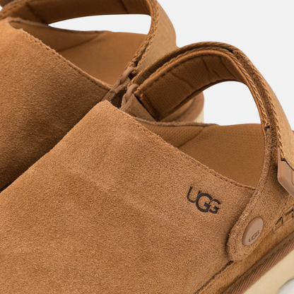 Classic Goldenstar Clog | Chestnut